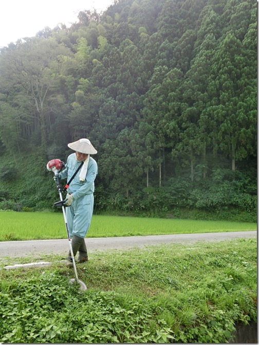 夏の草刈り