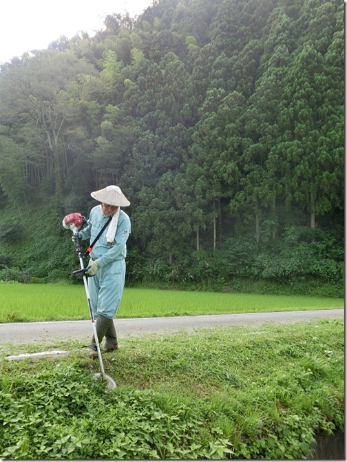 夏の草刈り