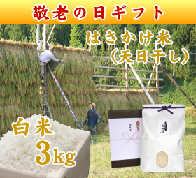 新潟 岩船産コシヒカリ はさかけ米（天日干し）　白米 3キロ