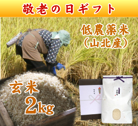 新潟 岩船産コシヒカリ 低農薬米 （山北産）　玄米 2キロ