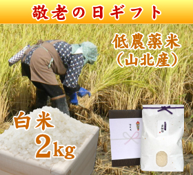 新潟 岩船産コシヒカリ 低農薬米 （山北産）　白米 2キロ