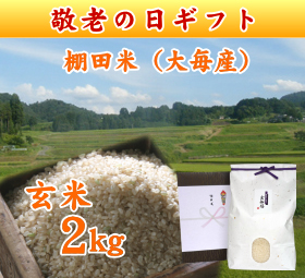 新潟 岩船産コシヒカリ 棚田米（大毎産）　玄米 2キロ