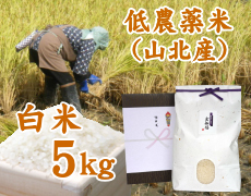 低農薬米（山北産）白米