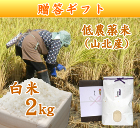 新潟 岩船産コシヒカリ 低農薬米 （山北産）　白米 2キロ