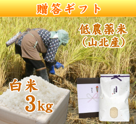新潟 岩船産コシヒカリ 低農薬米 （山北産）　白米 3キロ