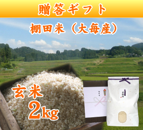 新潟 岩船産コシヒカリ 棚田米（大毎産）　玄米 2キロ