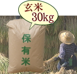 おいしいお米 はさかけ米 コシヒカリ 玄米 30kg