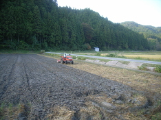 藁を細断して土に混ぜ、養分が均等に行きわたるよう、トラクターで撹拌します。