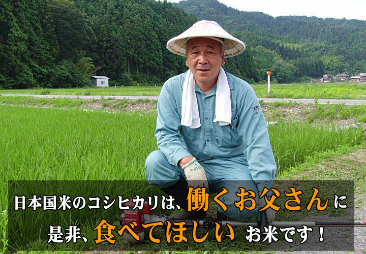 日本国米のコシヒカリは、働くお父さんに 是非、食べてほしいお米です！