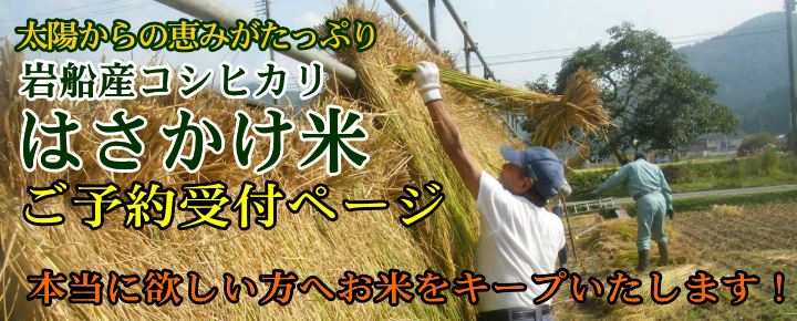 はさかけ米 ご予紁EEージ