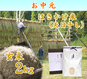 新潟 岩船産コシヒカリ はさかけ米（天日干し）　玄米 2キロ