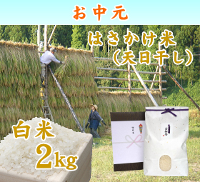 新潟 岩船産コシヒカリ はさかけ米（天日干し）　白米 2キロ