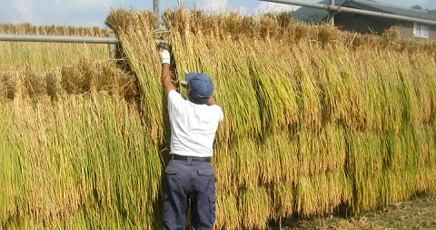 「はさかけ」の画像検索結果