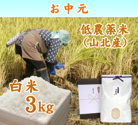新潟 岩船産コシヒカリ 低農薬米 （山北産）　白米 3キロ